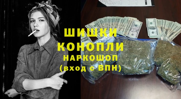ГАЛЛЮЦИНОГЕННЫЕ ГРИБЫ Алзамай