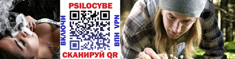 Галлюциногенные грибы Psilocybe  где можно купить наркотик  Андреаполь 